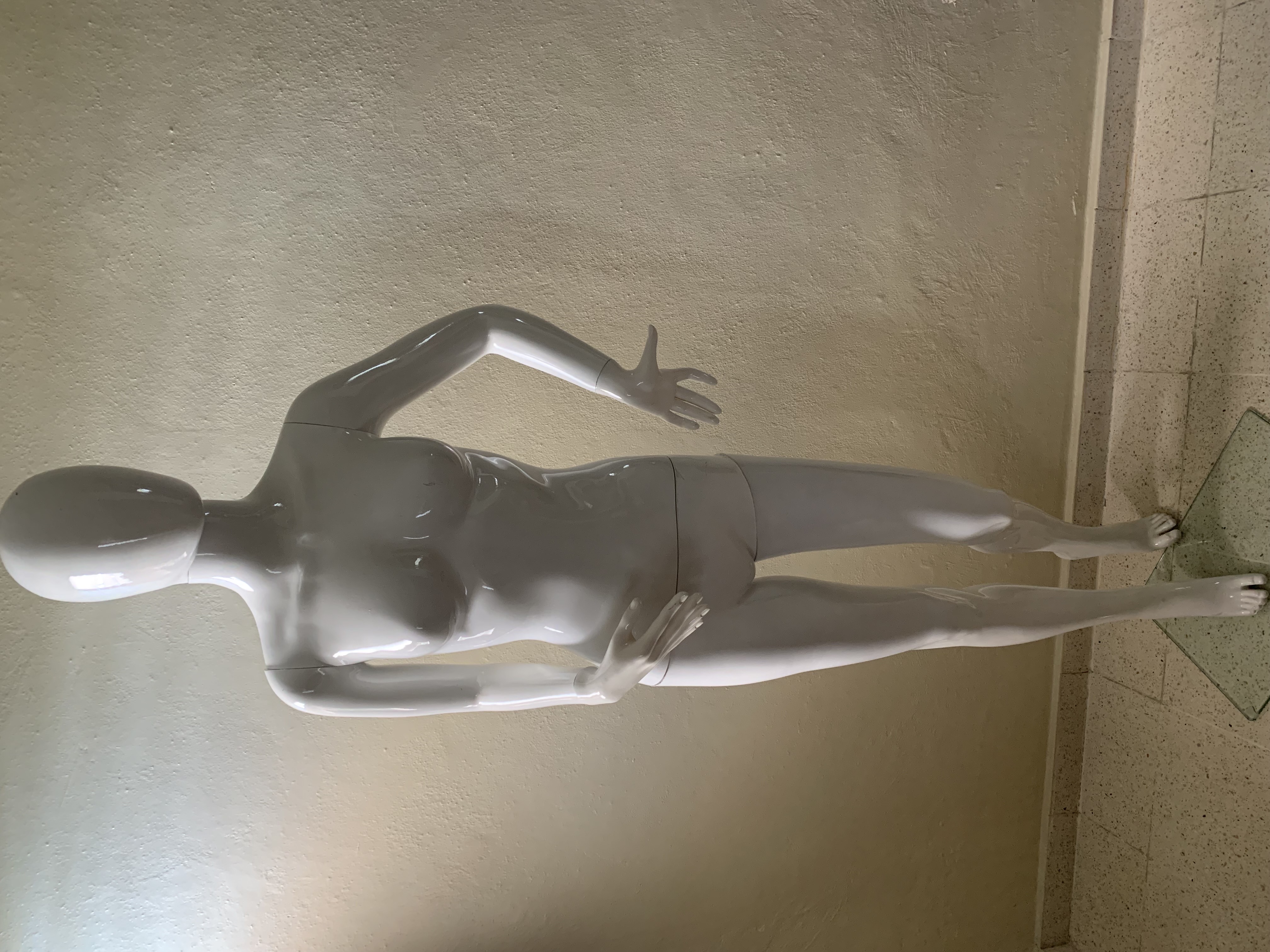 equipos profesionales - Se vende maniquí  1