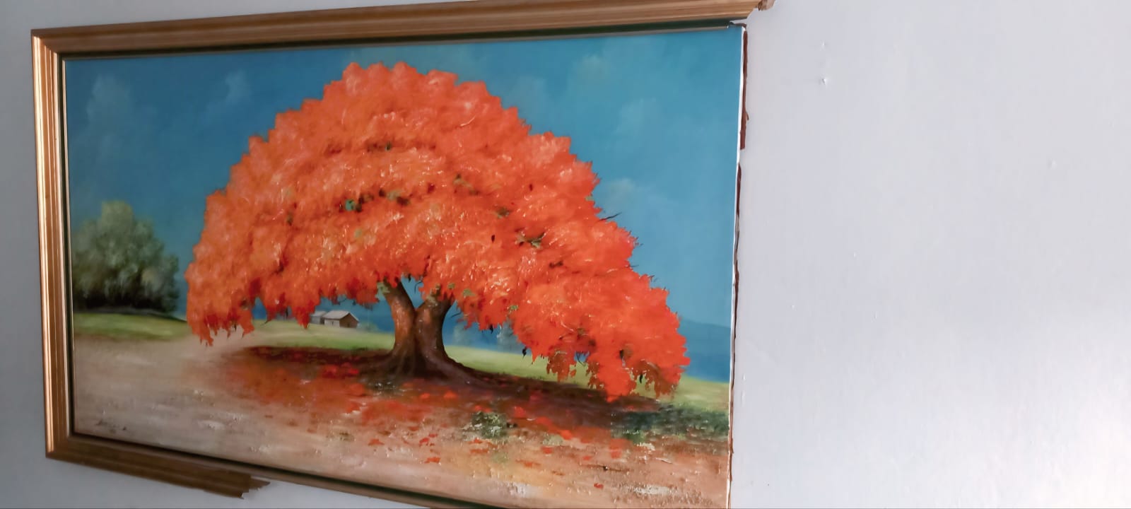 decoración y accesorios - Cuadto en Venta 1