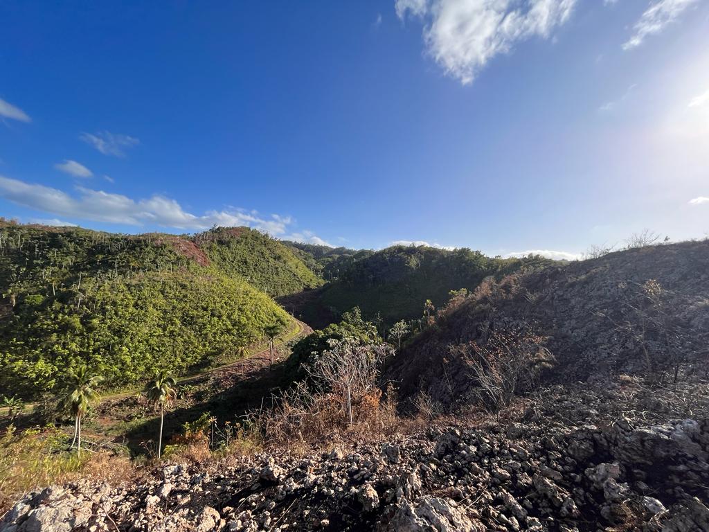 solares y terrenos - Terrenos en Las Terrenas – Proyecto Exclusivo Eco- 3