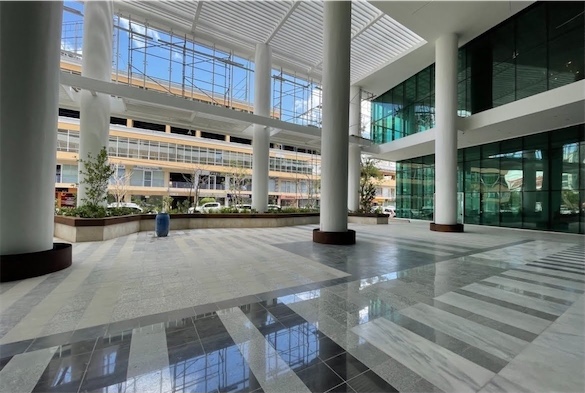 oficinas y locales comerciales - Oficinas corporativas en Naco 8