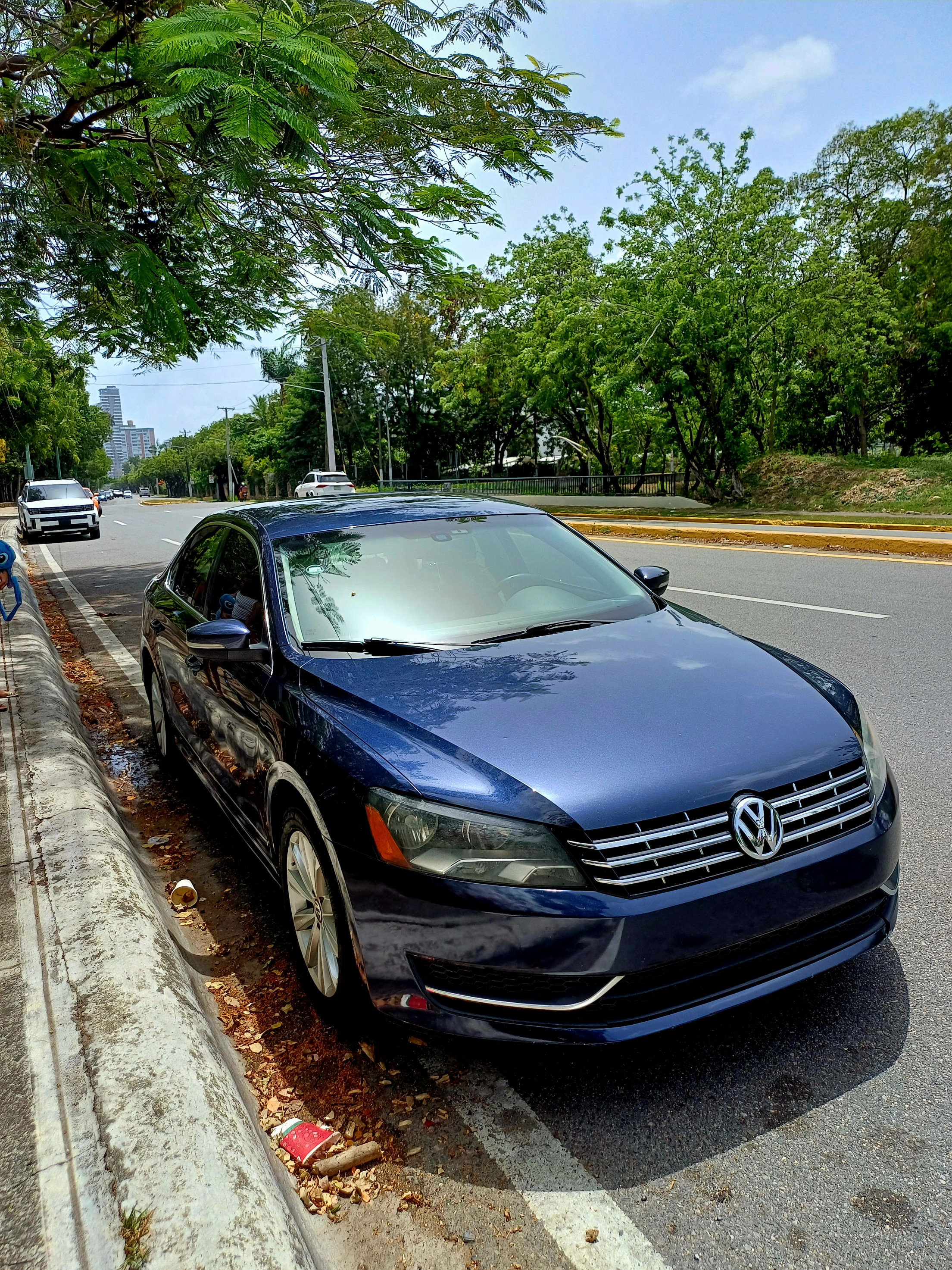 carros - Propio
