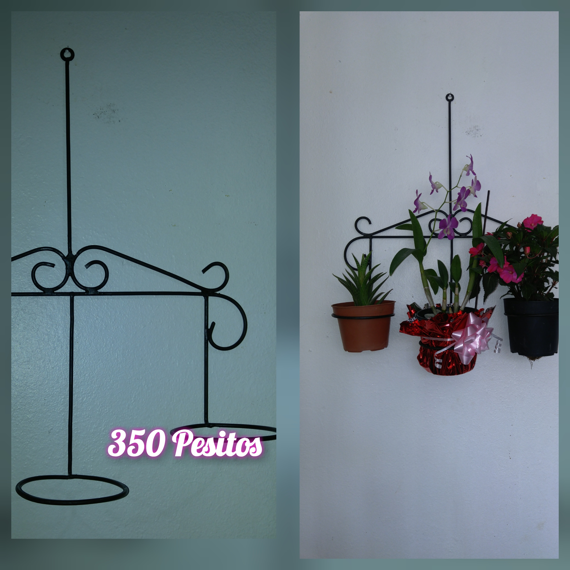 herramientas, jardines y exterior - Porta tarros para interior  4