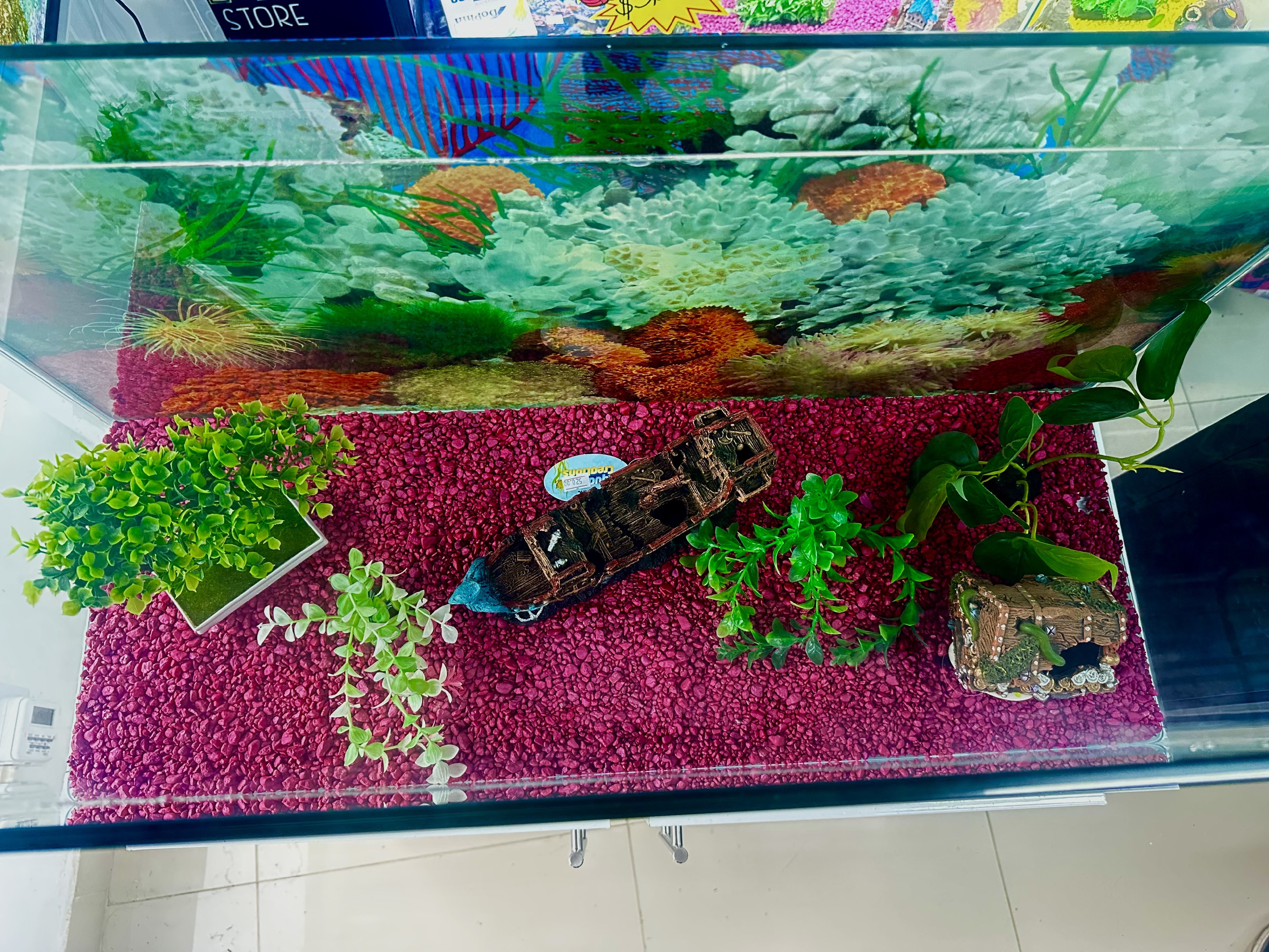 decoración y accesorios - pecera de 24 galones con su mesa  3