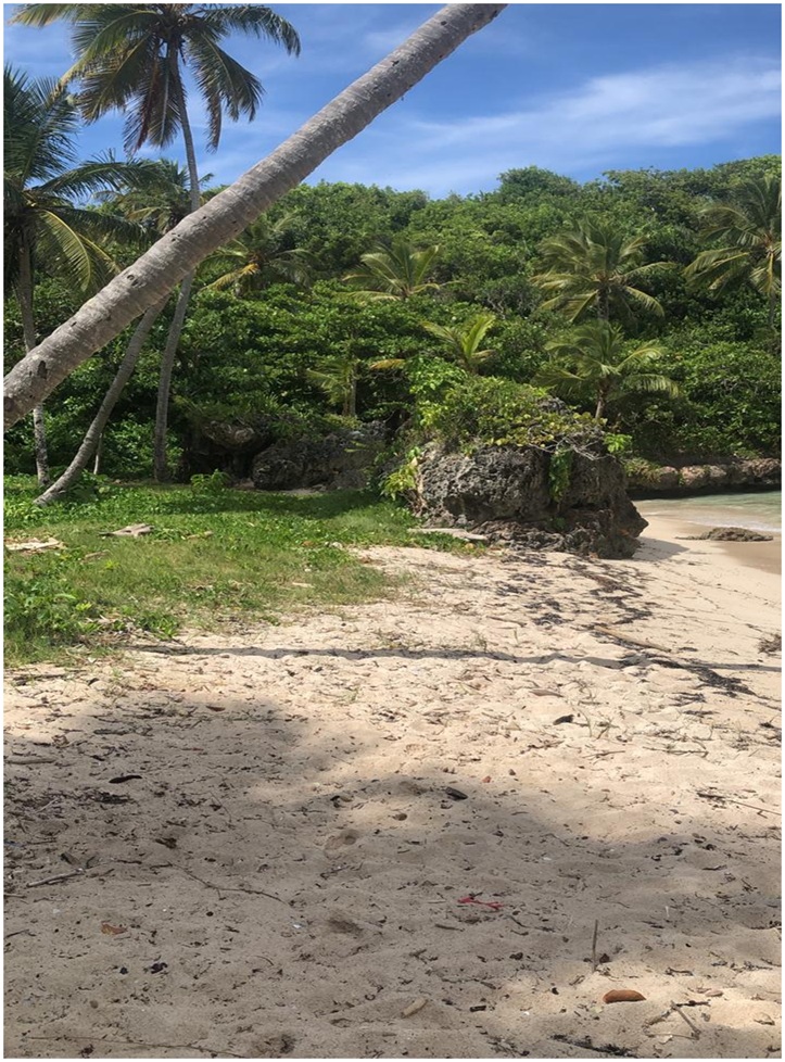 solares y terrenos - 72,185 Mts.s CON PLAYA,  en Playa MADAMA, Las Galeras, Samana de OPORTUNIDAD 8