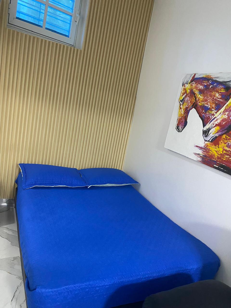 apartamentos - Alquiler Estudio, Zona Colonial, Santo Domingo 4