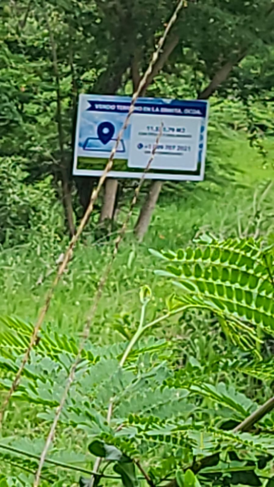 solares y terrenos - VENDO GRAN TERRENO EN SAN JOSE DE OCOA, 11,531.79  0