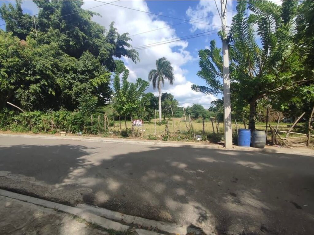 solares y terrenos - 6225- TERRENO EN GURABO, STGO.  1