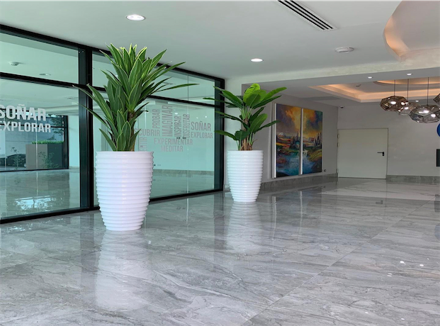 oficinas y locales comerciales - Local comerciales en venta 4
