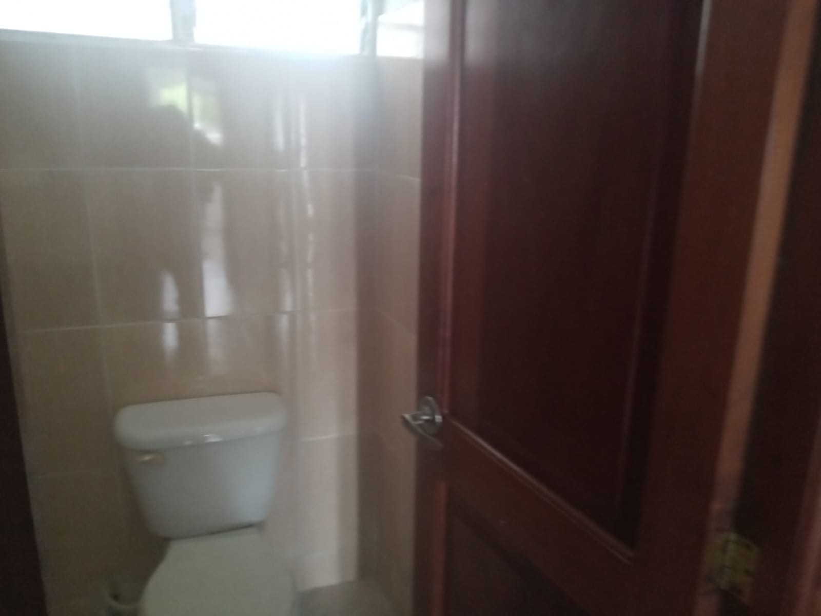 apartamentos - ALQUILER DE APARTAMENTO ESTUDIO 0