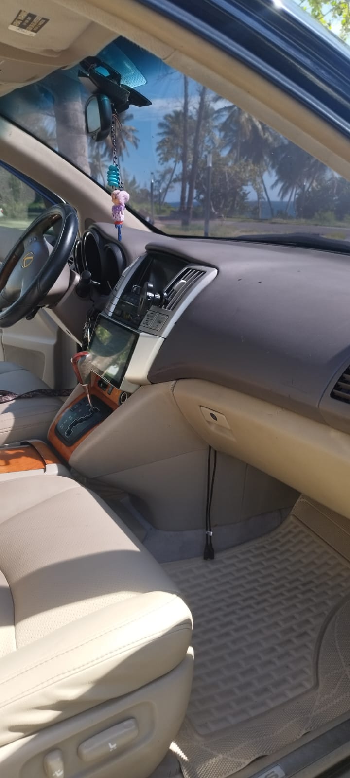 jeepetas y camionetas - lexus rx 330 2004  1