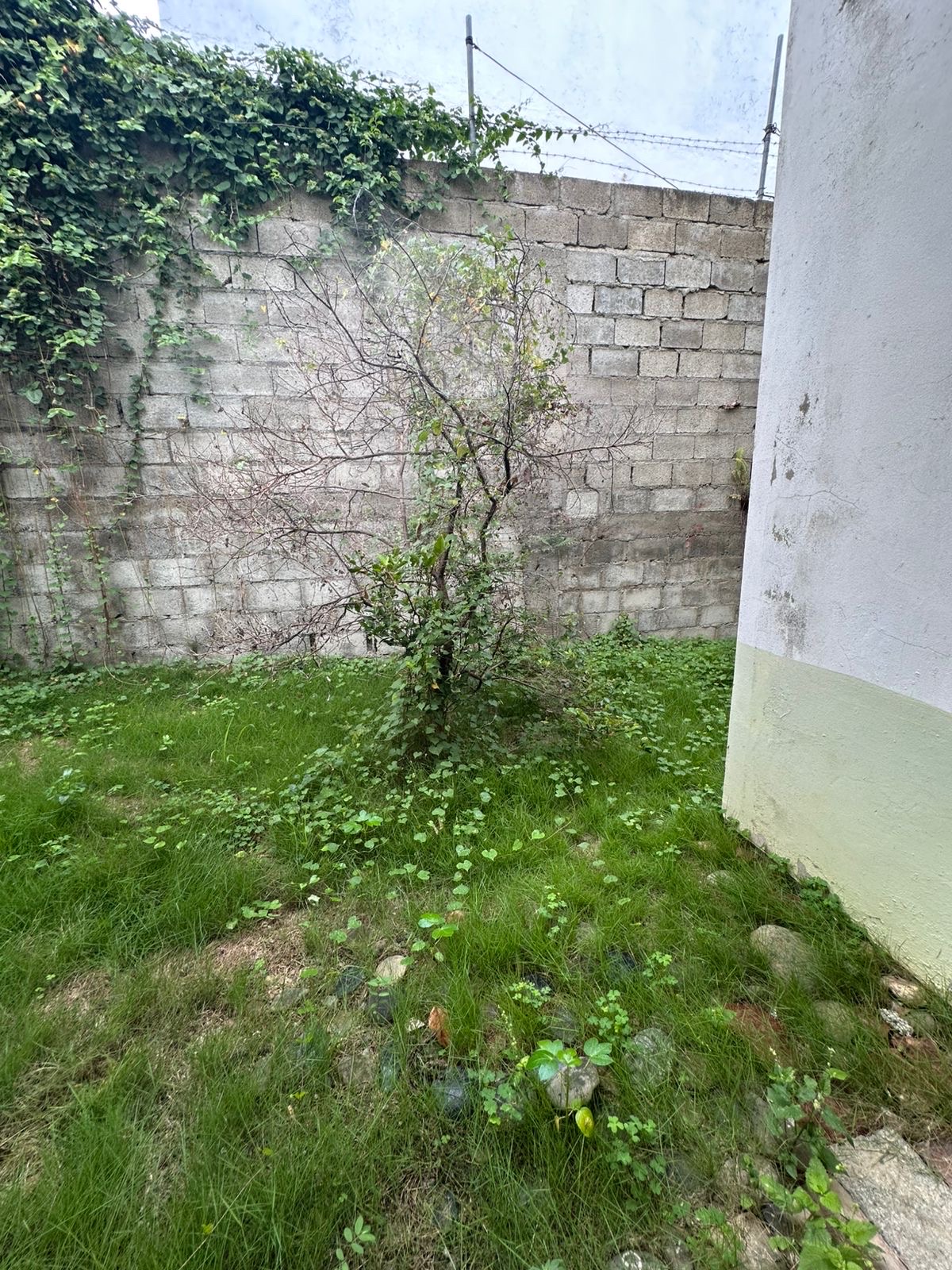 casas - vendo hermosa casa de dos niveles en reparto Peralta bella vista,de oportunidad  8