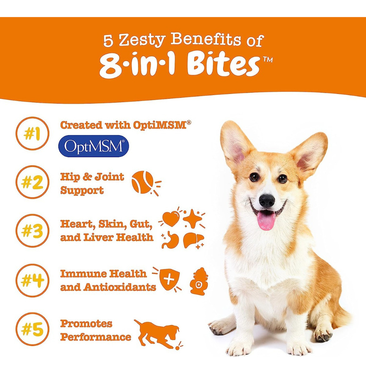 Salud y Equipamiento Médico - Zesty Paw 8 In 1 Suplemento Para Perros Multi-vitaminas 2