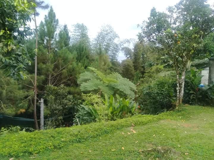 solares y terrenos - SE VENDE FINCA EN EL CACAO de San Cristóbal  3
