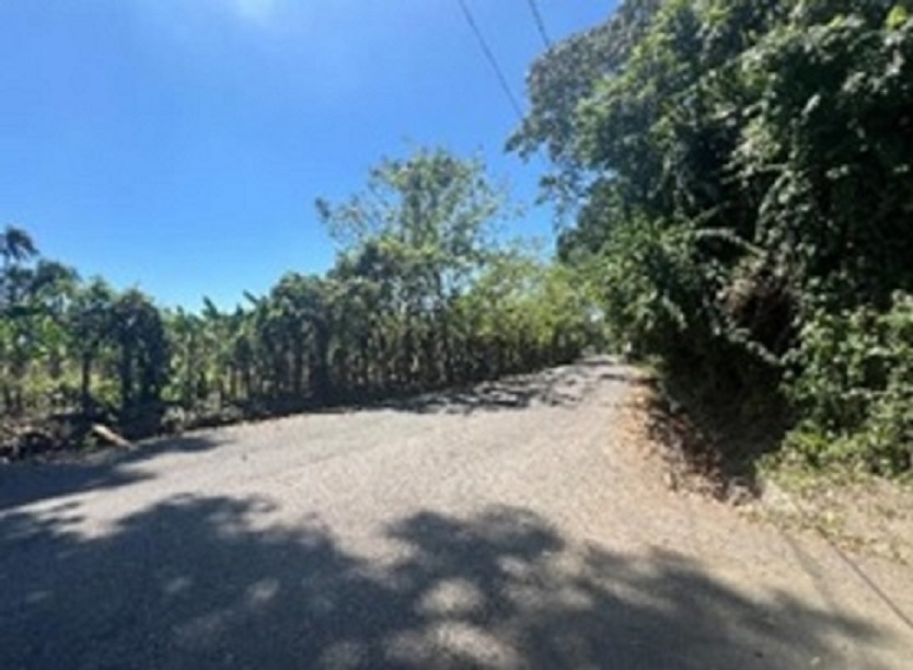 solares y terrenos - Excelente terreno cèntrico en La Vega 0