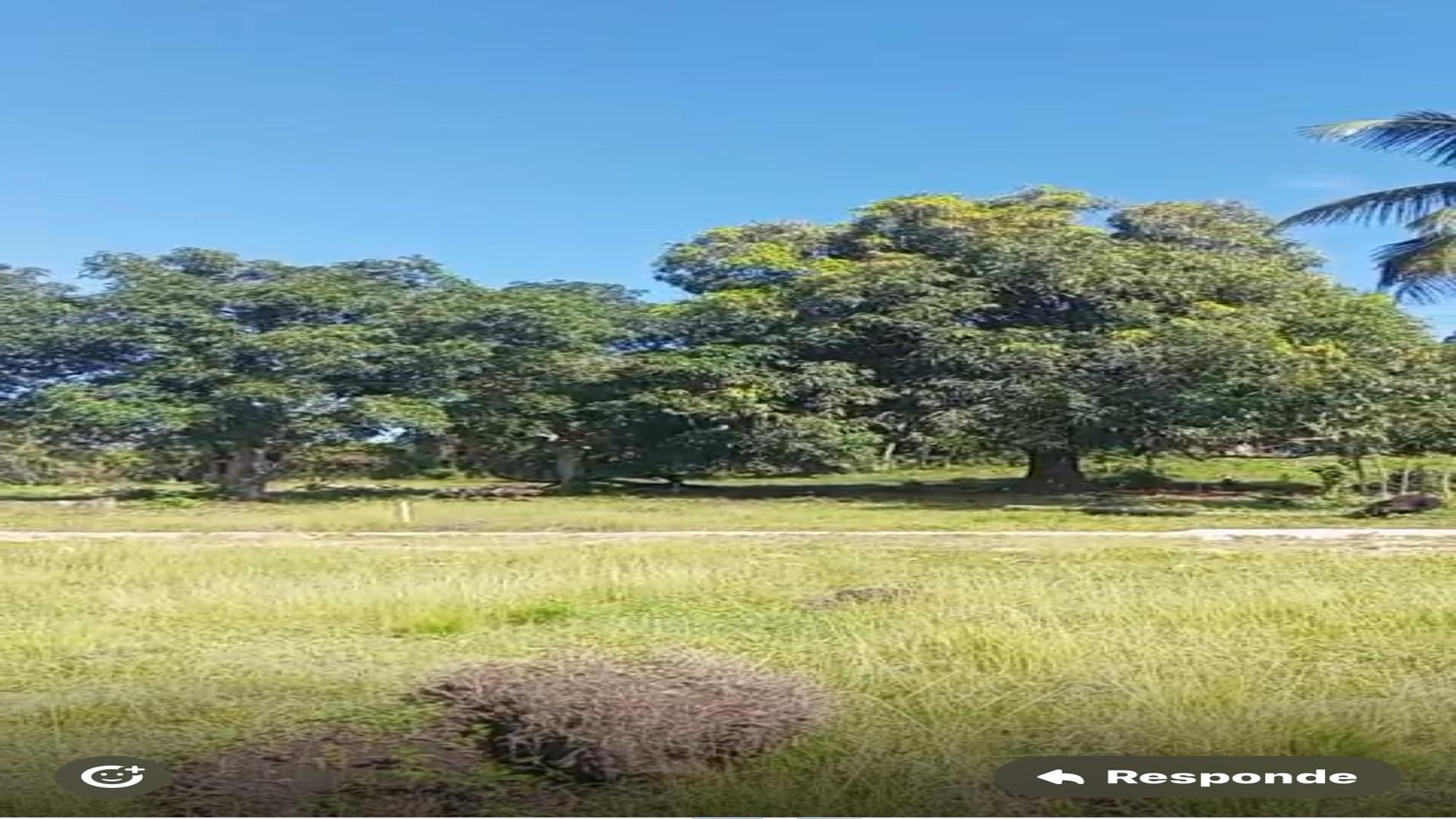 solares y terrenos - DE OPORTUNIDAD SOLAR EN VENTA DE 180.4MTS2 – SAN CRISTOBAL, REP DOM. 0