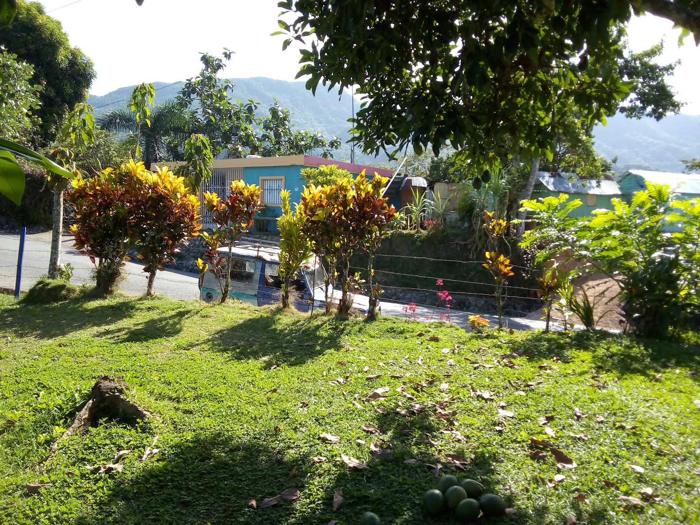 solares y terrenos - SE VENDE FINCA EN EL CACAO de San Cristóbal  4