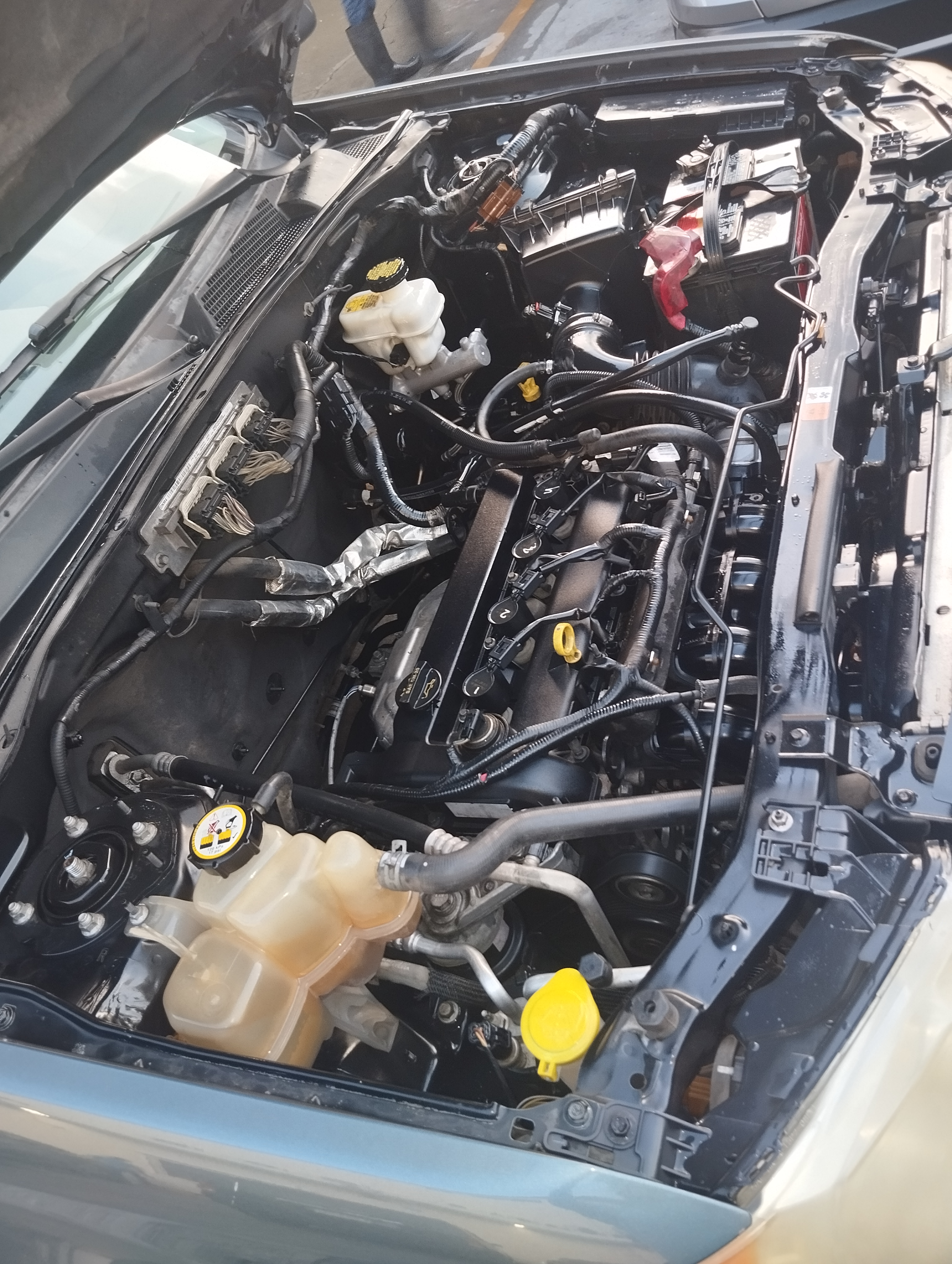 jeepetas y camionetas - 2011 Ford escape....97,500 millas (solo 2 dueños) 5