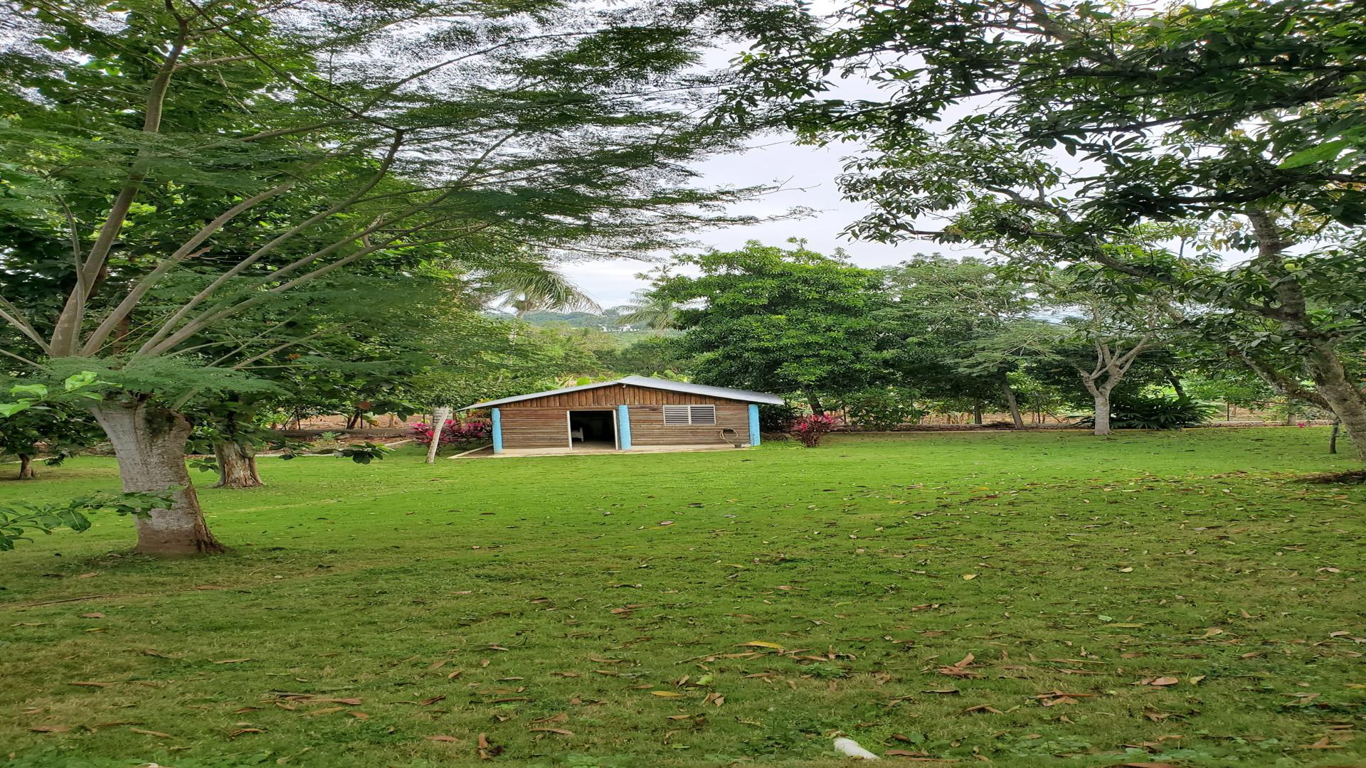 casas - CASA EN VENTA EN EL QUEMADO, LA VEGA. 8