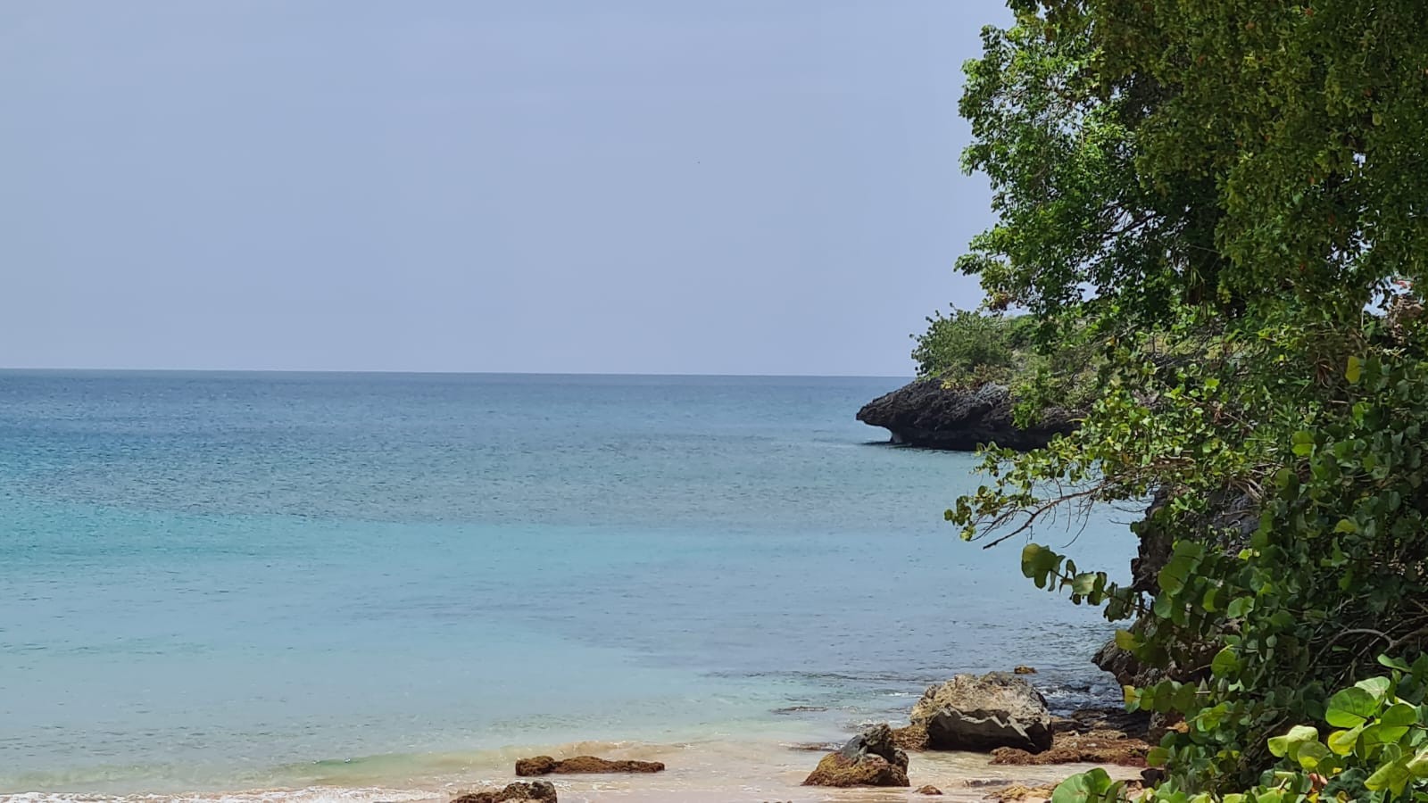 solares y terrenos - Se vende terreno en playa de Moron, Samana 7
