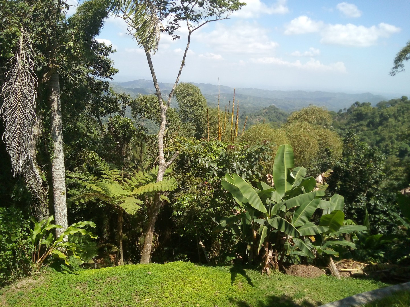 solares y terrenos - SE VENDE FINCA EN EL CACAO de San Cristóbal  7