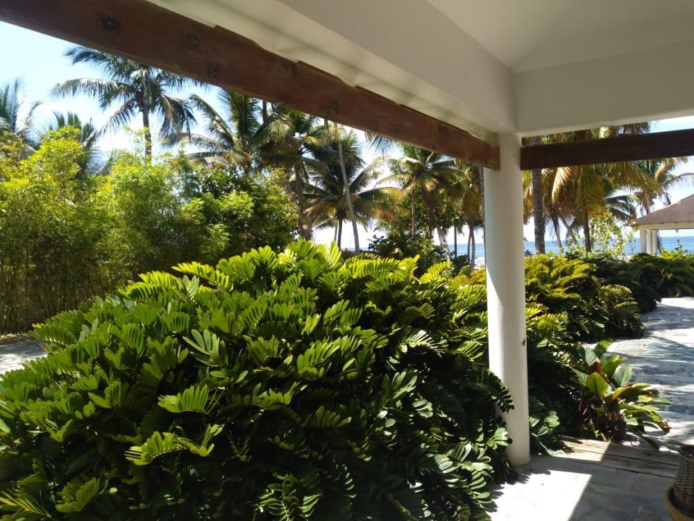 casas vacacionales y villas - Casa en venta en Juan Dolió  3