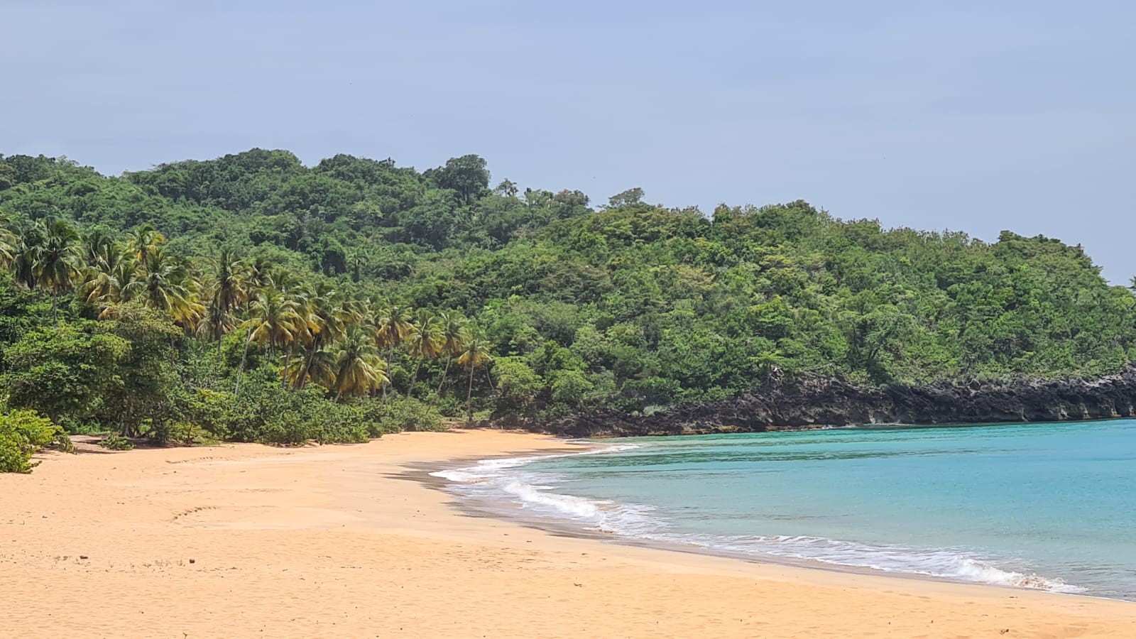 solares y terrenos - Se vende terreno en playa de Moron, Samana 8