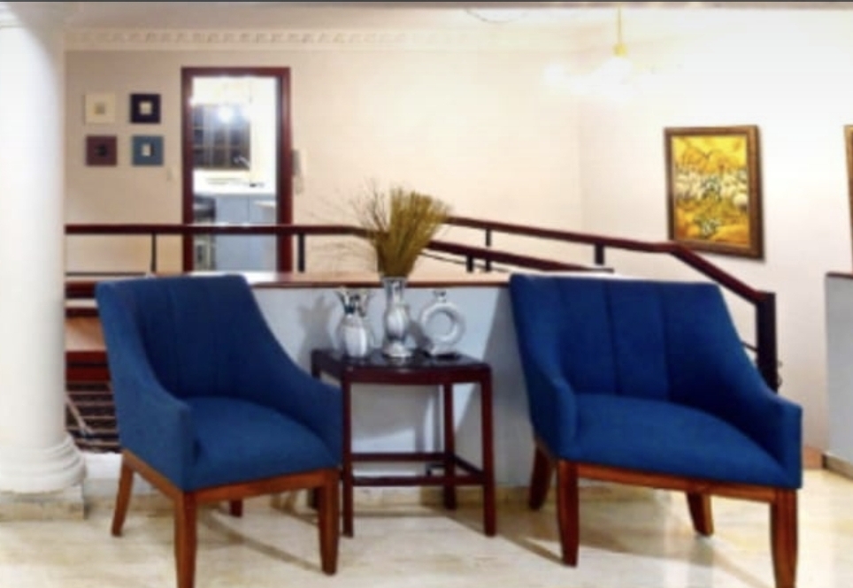 decoración y accesorios - Alfombra y Butacas como nuevas 2