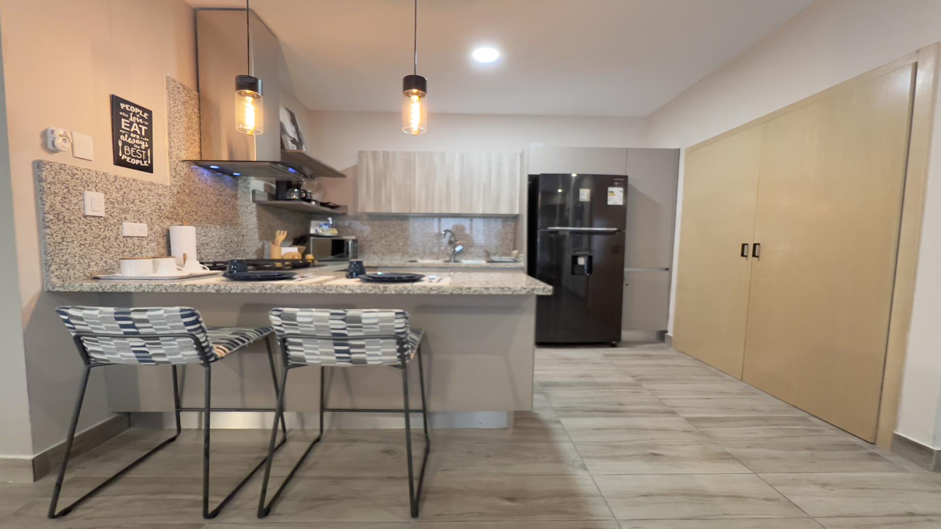 apartamentos - Apartamento Amueblado en Venta, Piantini 3