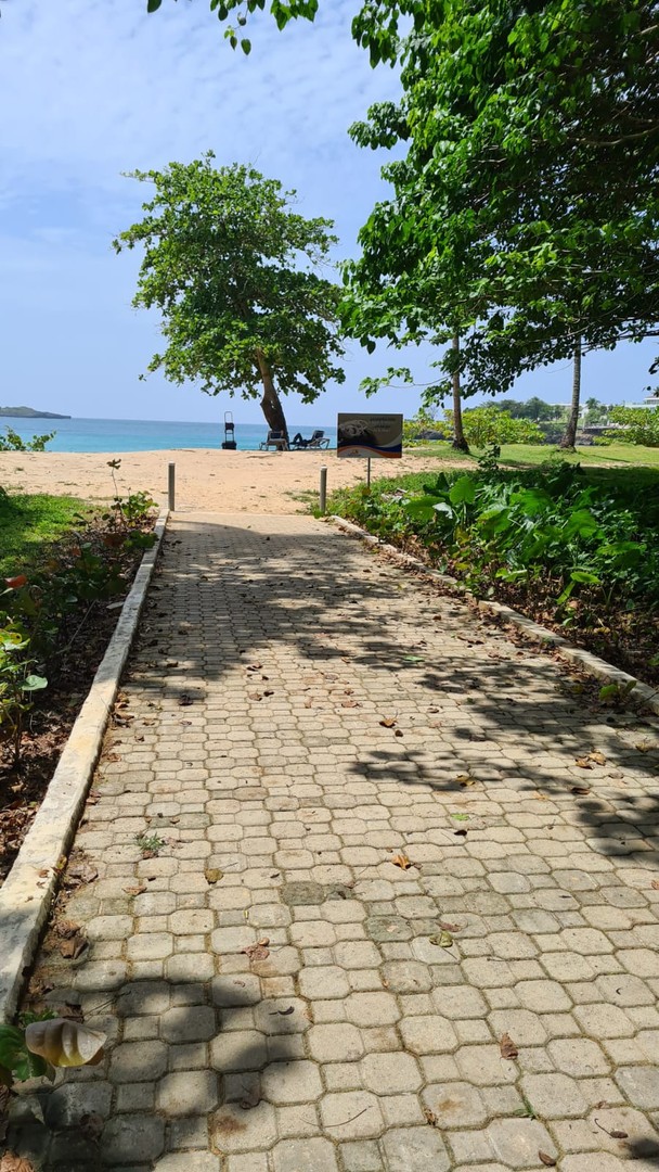 solares y terrenos - Se vende terreno en playa de Moron, Samana 9
