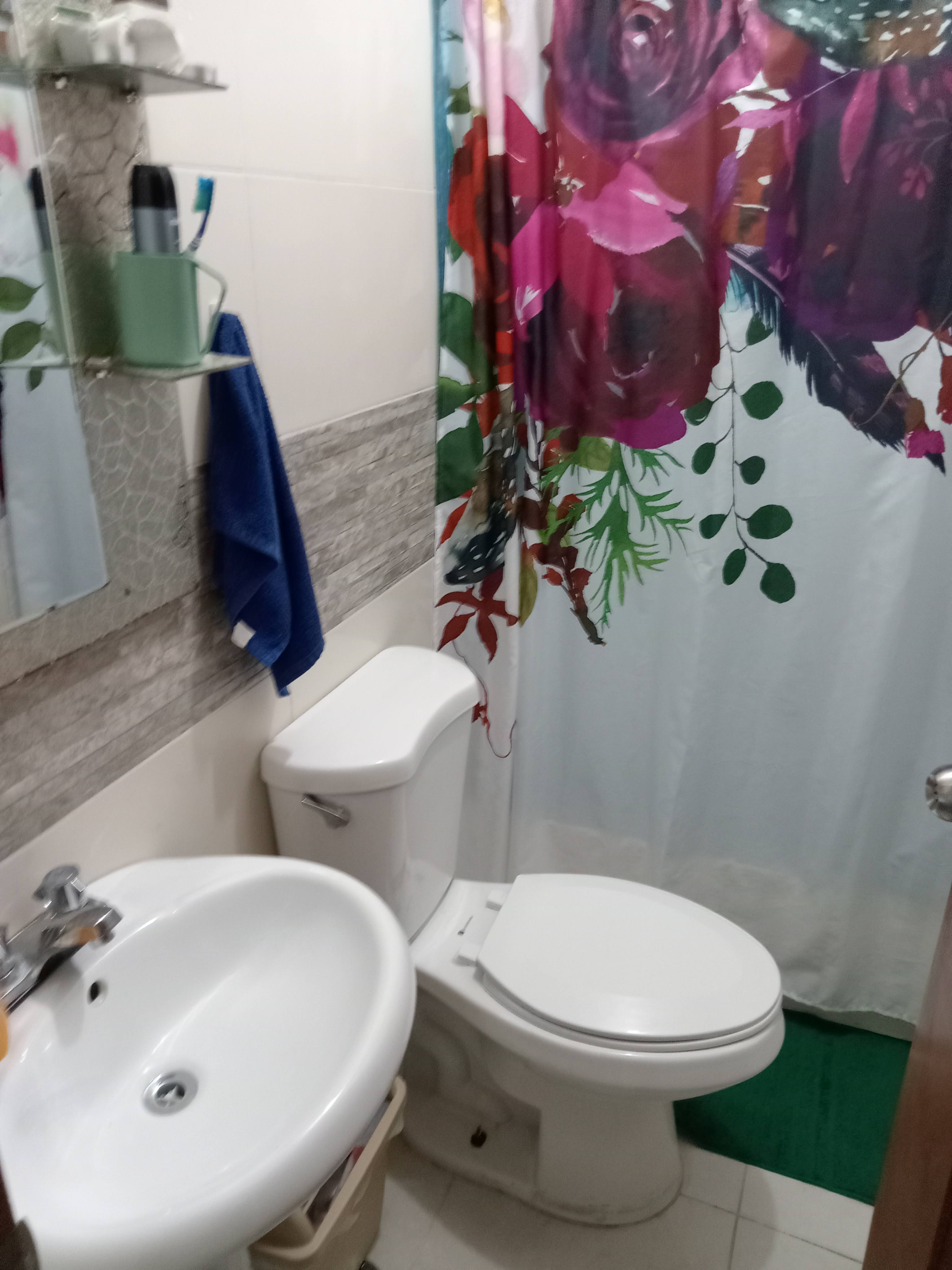 apartamentos - Apartamento en venta Villa Marina  8