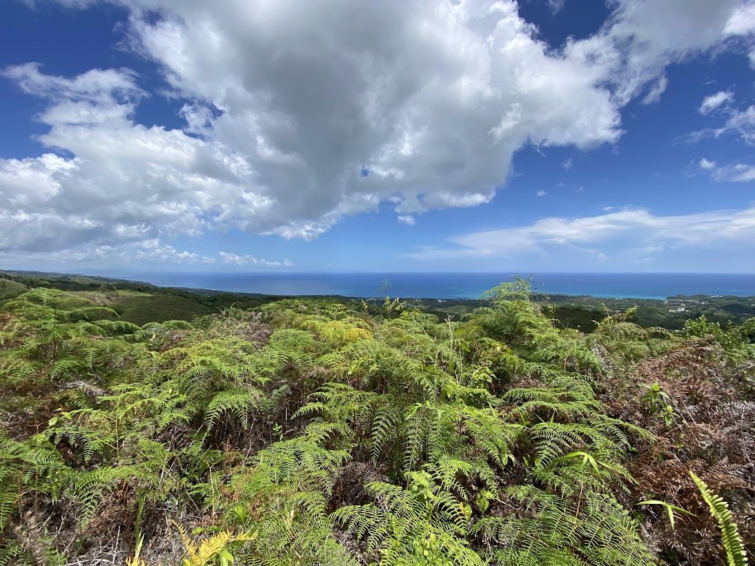 solares y terrenos - Terrenos en Las Terrenas – Proyecto Exclusivo Eco-