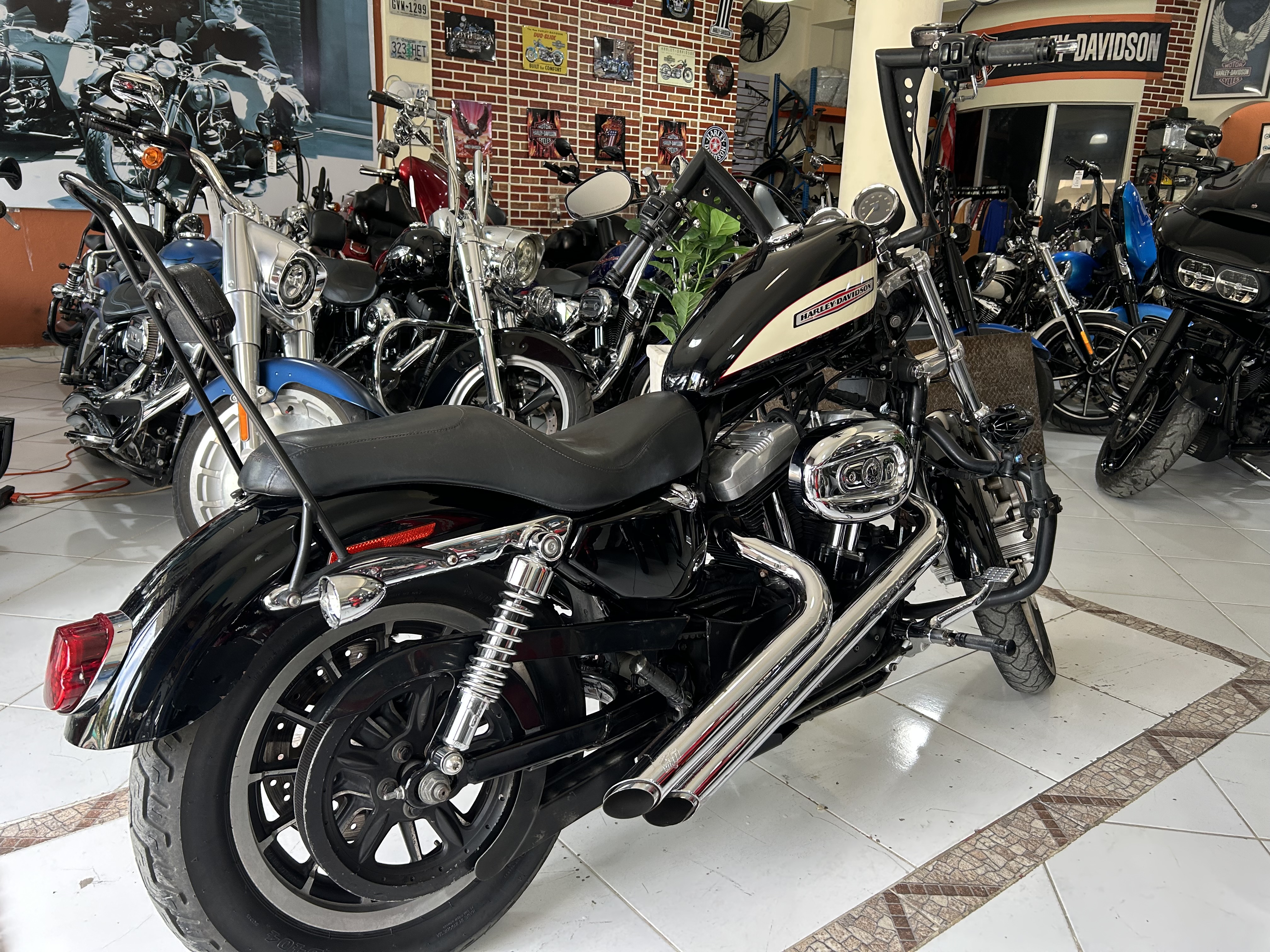 motores y pasolas - Harley Davidson Sportster 1200 año 2006 3