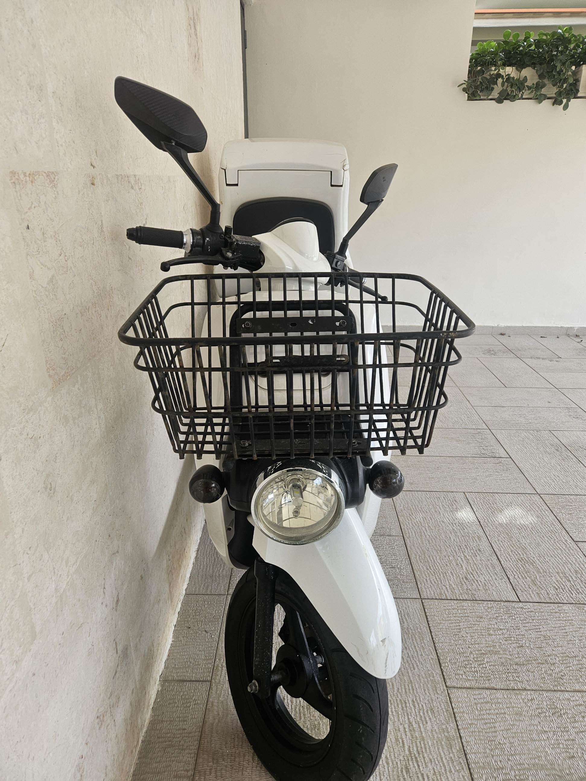 motores y pasolas - Motor eléctrico ABEJA LITIO. Incluye caja trasera. 1