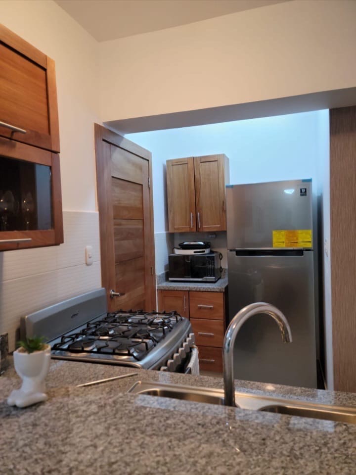 apartamentos - apartamento totalmente amoblado 5