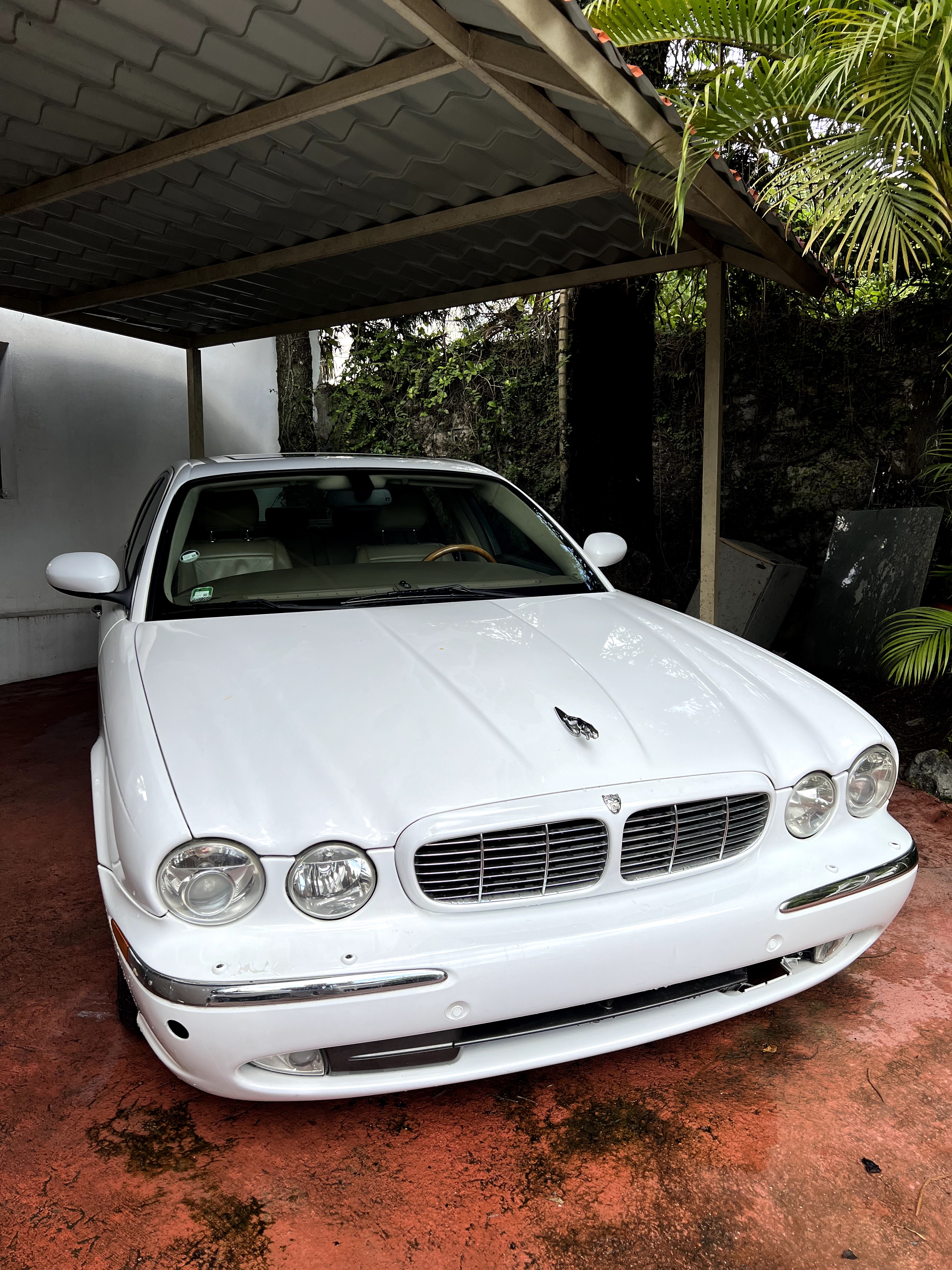 carros - Jaguar xj8, en optima condiciones 0
