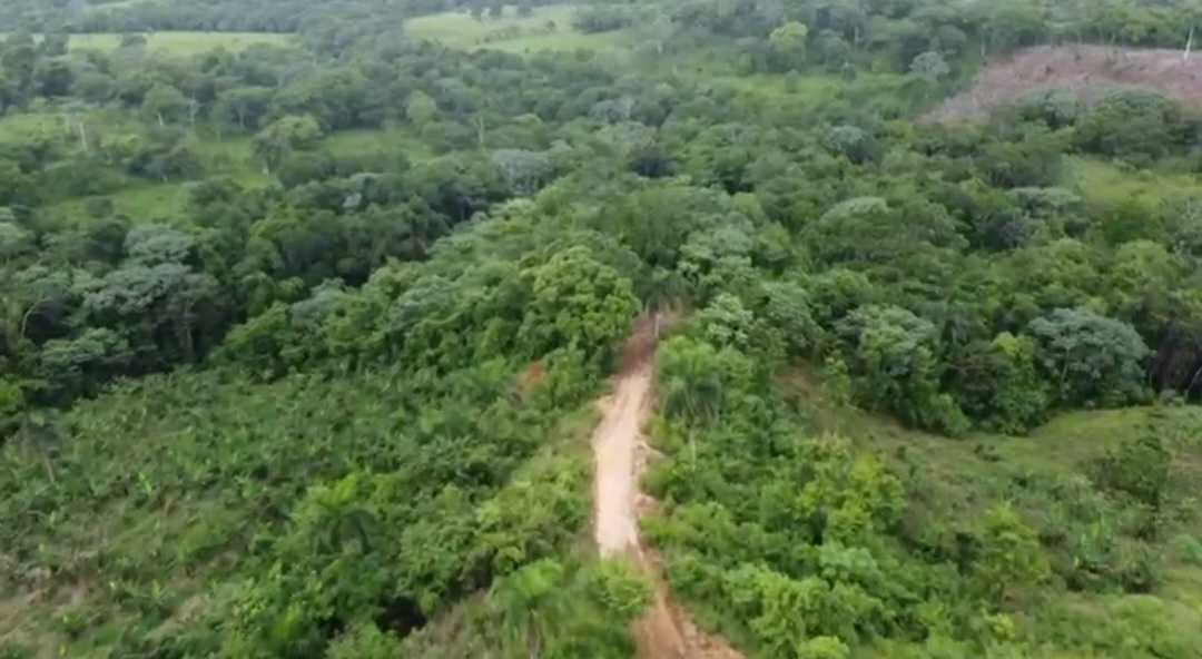 solares y terrenos - VENDO FINCA DE OPORTUNIDAD 3