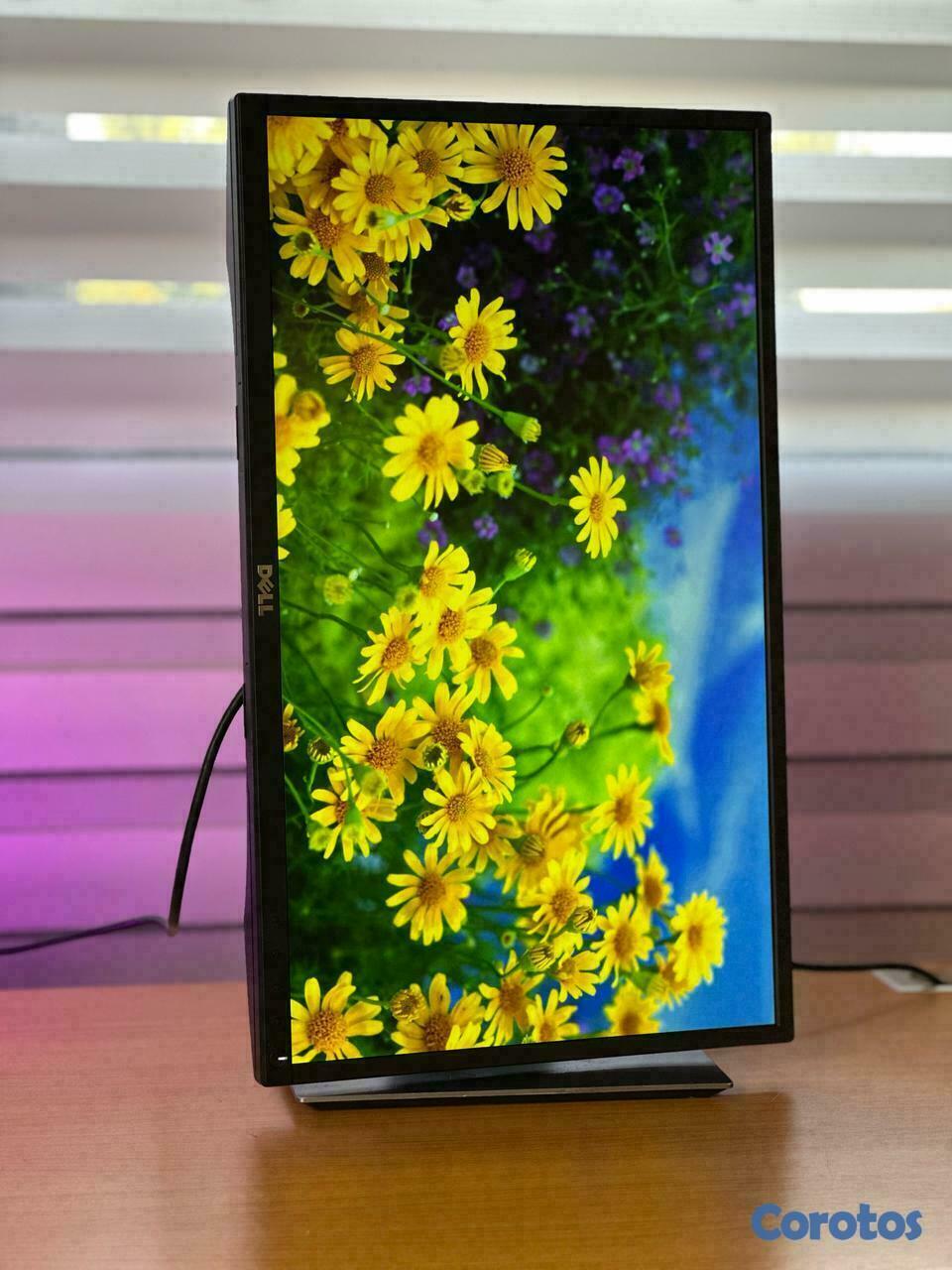 computadoras y laptops - Monitor Dell 23 PLG HDMI P2317H , IPS , DP VGA  3