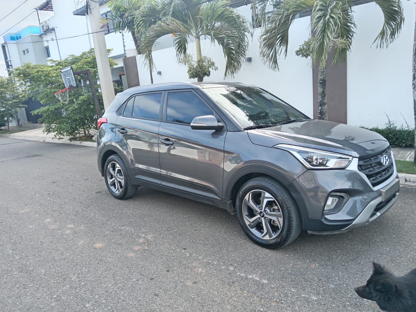 jeepetas y camionetas - hiunday cantus 2020 6