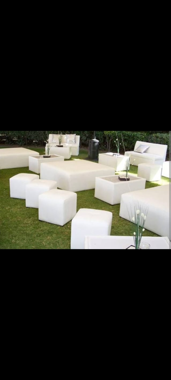 servicios profesionales - Se alquila muebles para todo tipo de eventos  6