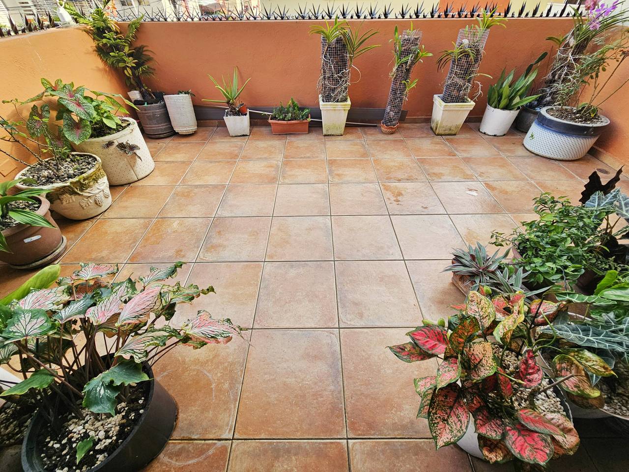 apartamentos - Apartamento en venta, Colinas de los Rios 4