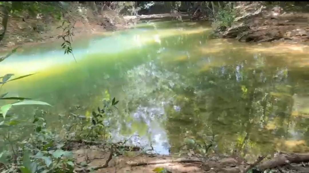 solares y terrenos - VENDO FINCA DE OPORTUNIDAD 4