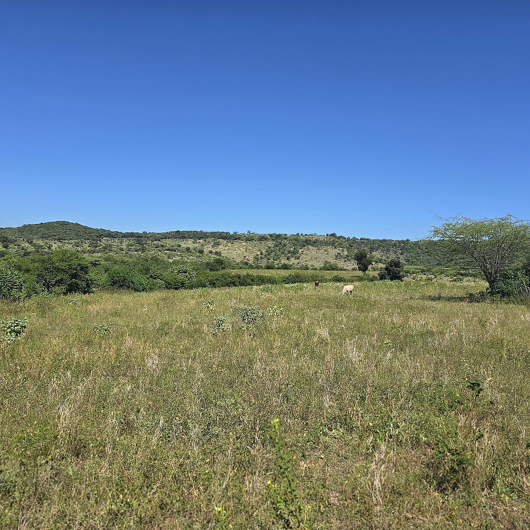 solares y terrenos - Terreno agrícola