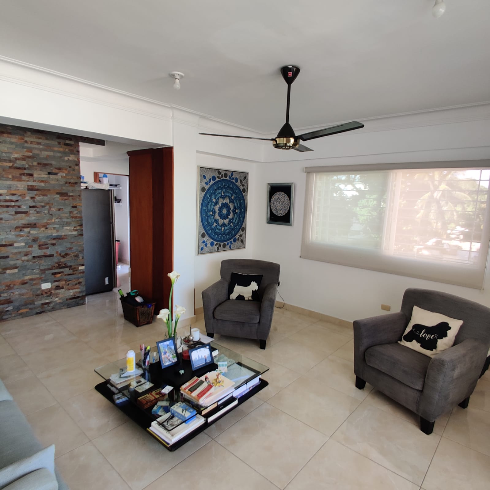 apartamentos - Apartamento viejo Arroyo Hondo, elevador,línea blanca.  0