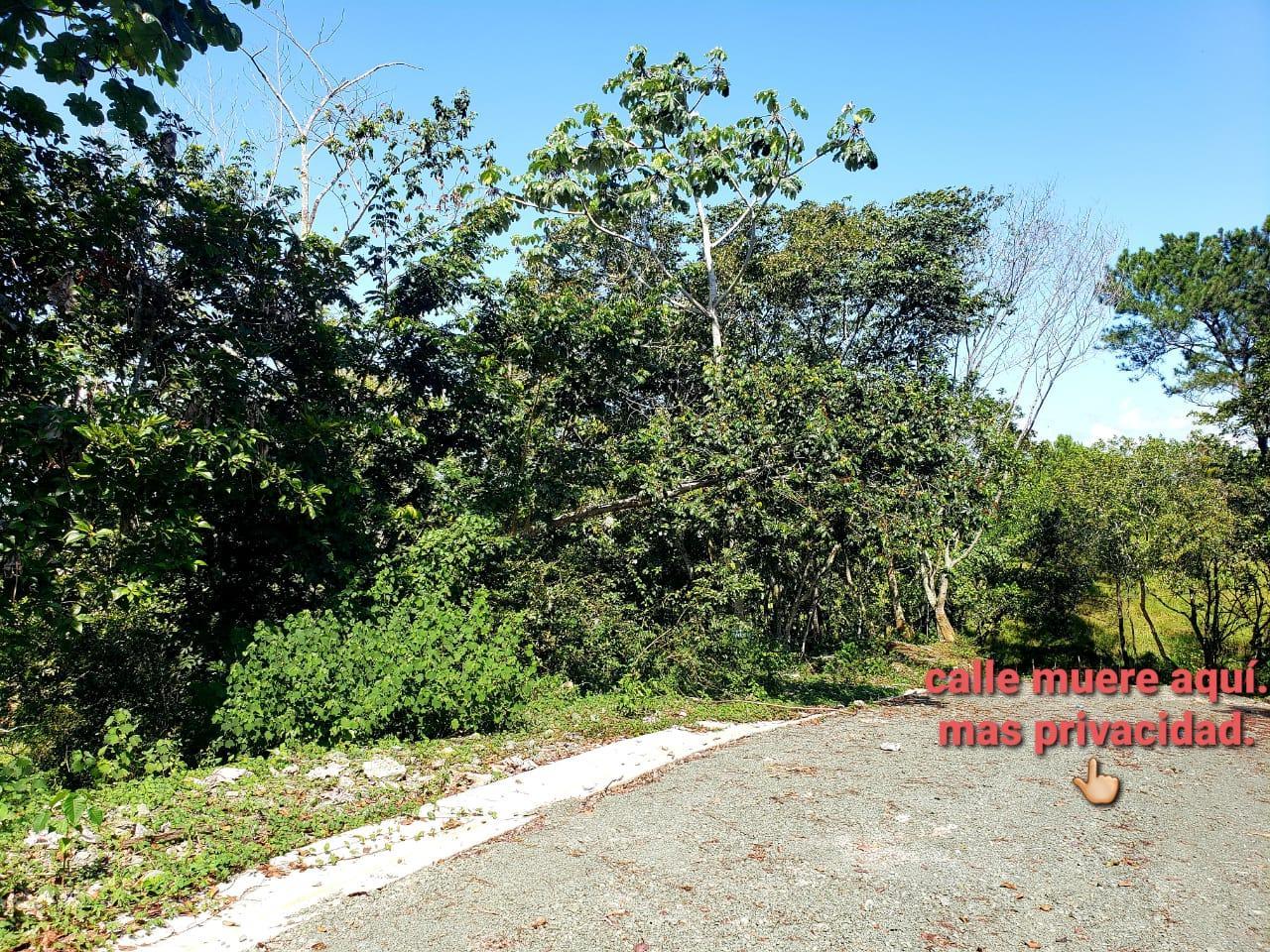 solares y terrenos - Solar en Venta en Jarabacoa – 1,849 m² con Casa Club y Seguridad 24/7 8