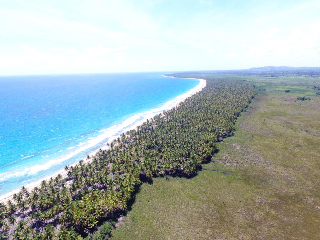 solares y terrenos - Amplios lotes de Terrenos en venta, lineales playa 5