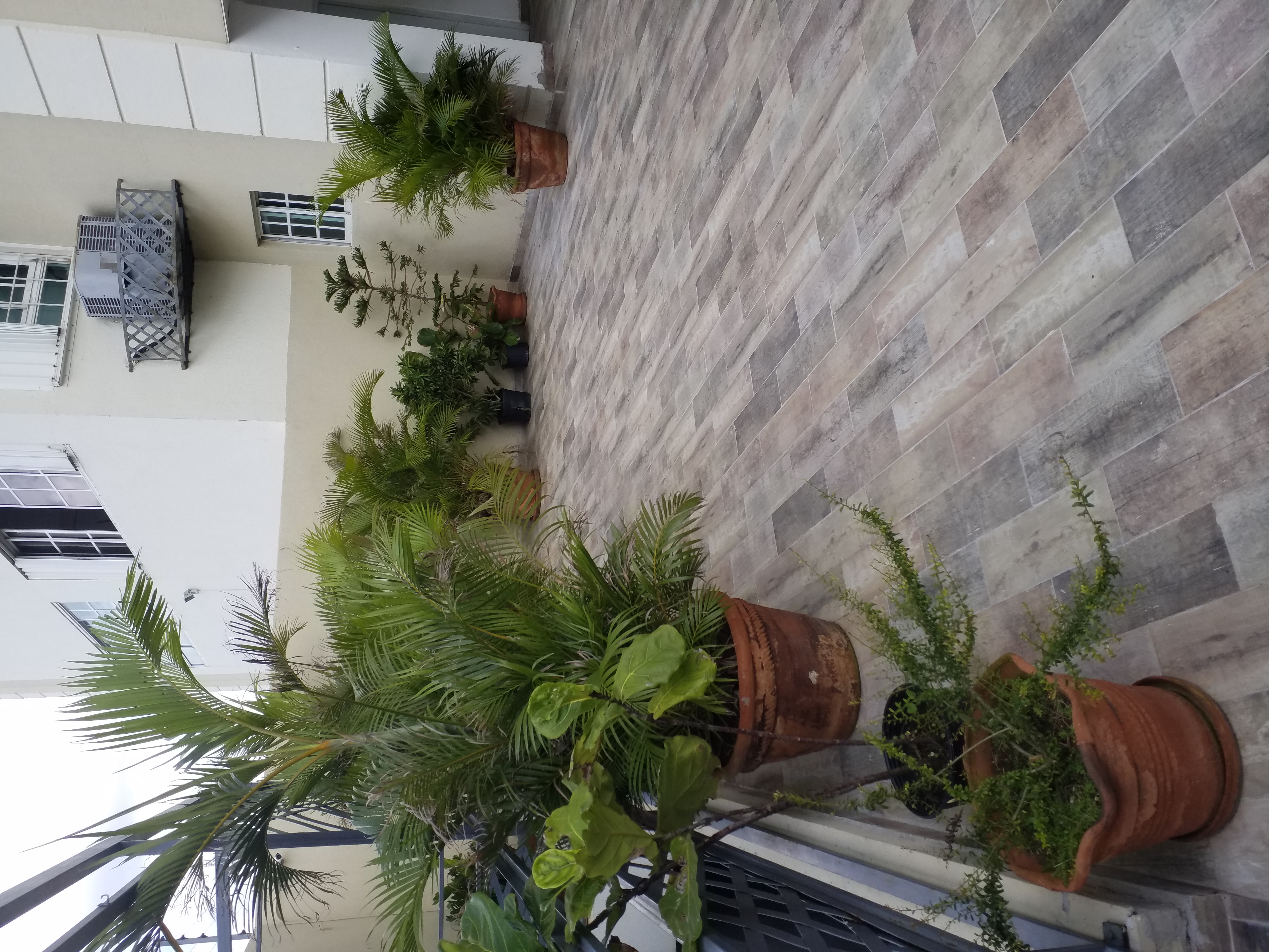 apartamentos - Apartamento en alquiler, 266 mts, vista al mar. 8