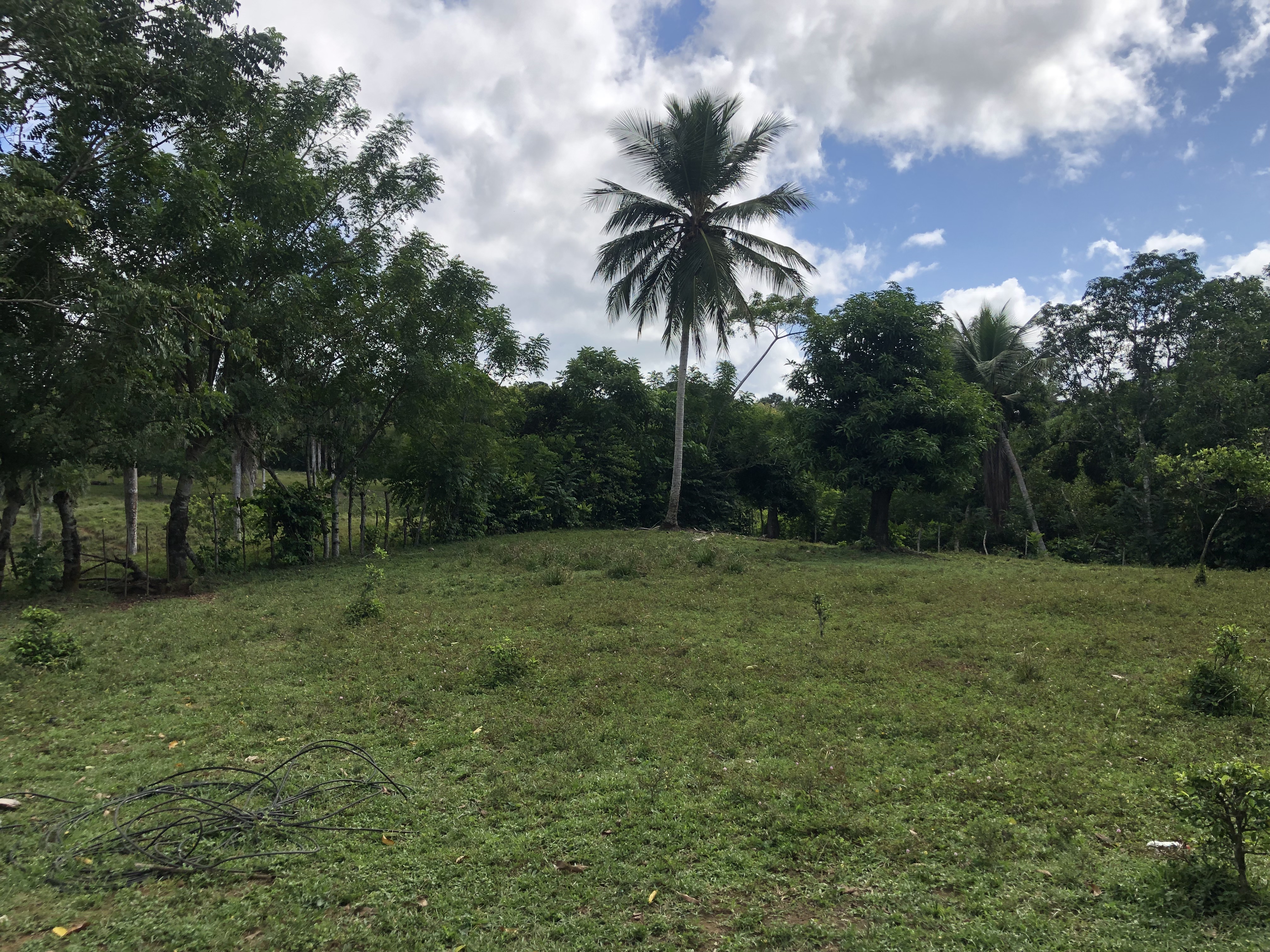 solares y terrenos - SUPER OFERTA DE FINCA EN YAMASA, 253 TAREAS, REBAJ 3