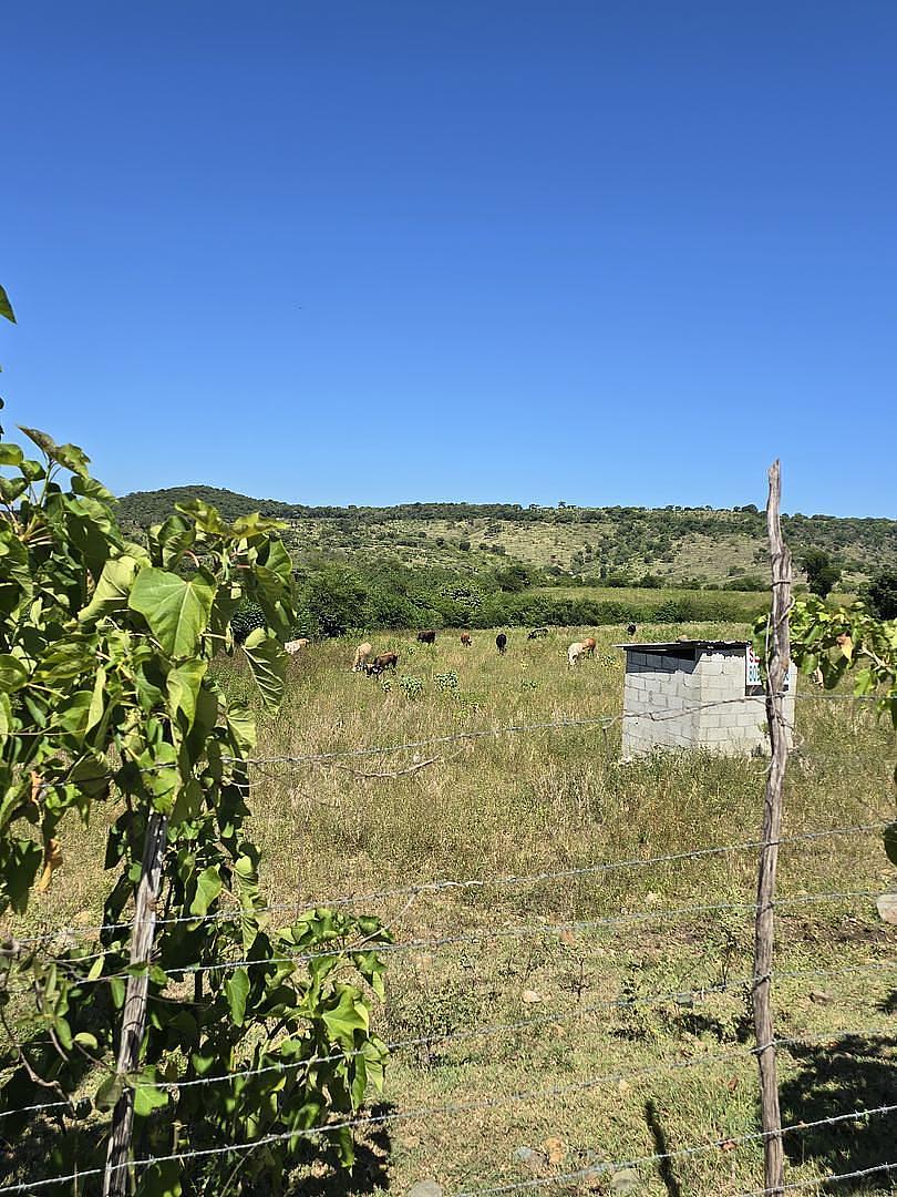 solares y terrenos - Terreno agrícola 3