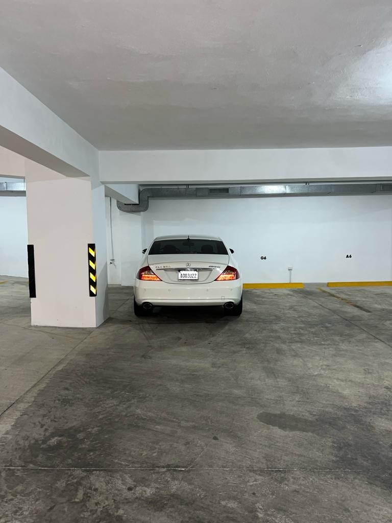 apartamentos - Apto. Alquiler Piantini 8