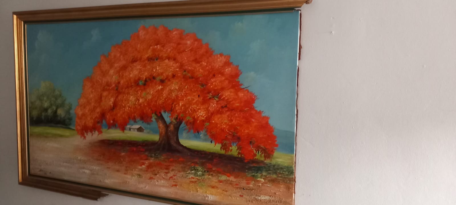 decoración y accesorios - Cuadto en Venta 0